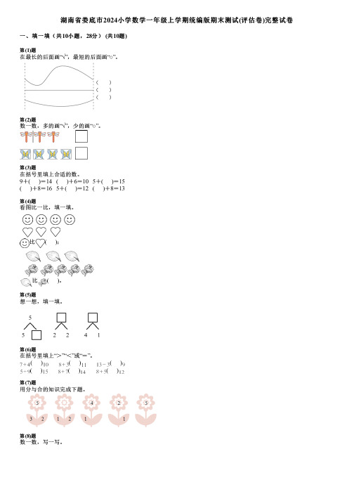 湖南省娄底市2024小学数学一年级上学期统编版期末测试(评估卷)完整试卷