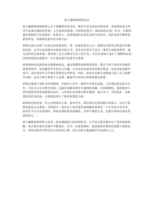 新入编教师研修总结