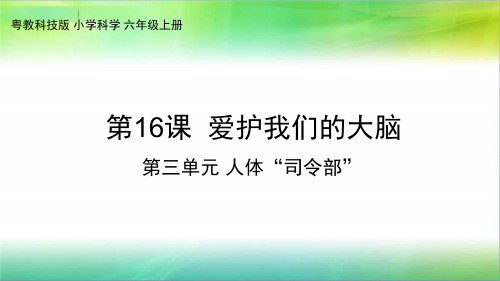 粤教版科学新六年级上册科学第16课《爱护我们的大脑》教学课件24