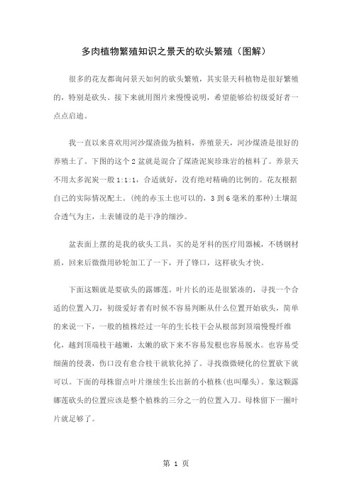 多肉植物繁殖知识之景天的砍头繁殖图解word资料4页