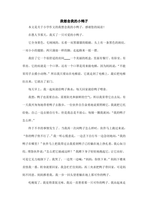 我想念我的小鸭子_小学作文