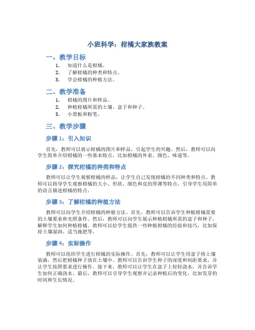 小班科学：柑橘大家族教案