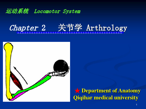 关节学PPT课件