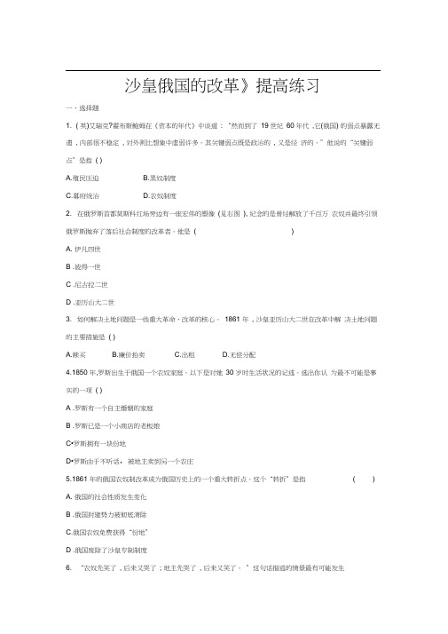 【提高练习】《沙皇俄国的改革》(中华书局出版社九年级上册)