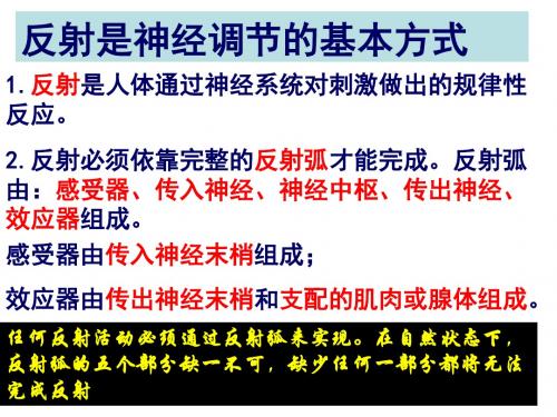 条件反射和非条件反射