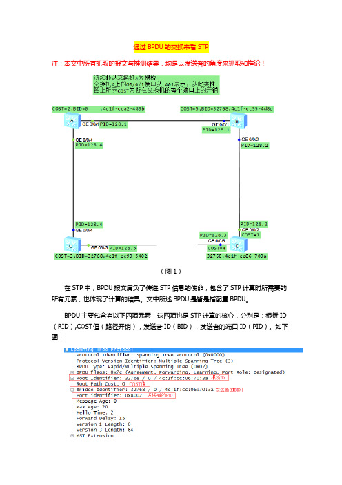 STP通过BPDU确定各端口