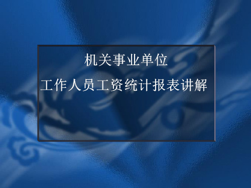 机关事业单位工作人员工资统计报表详解 (1)