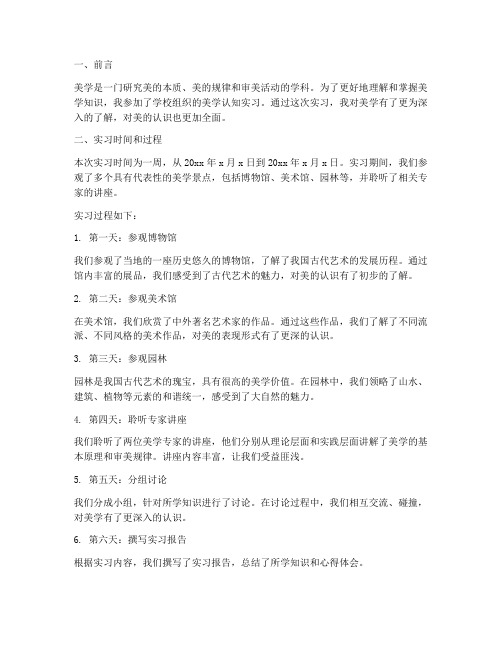 美学认知实习报告