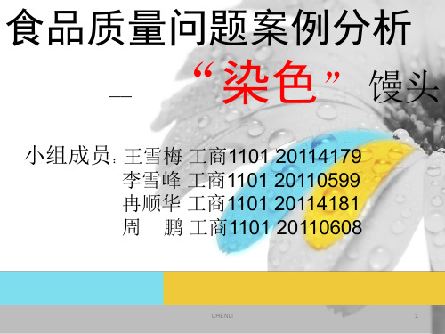 染色馒头案例分析PPT课件