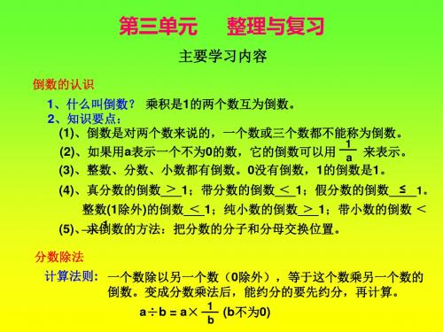 六年级数学上册《分数除法：整理与复习》