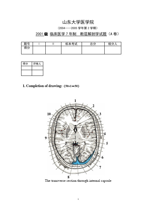 01级七年制英文