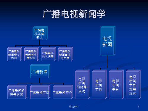 《广播电视新闻学》PPT课件