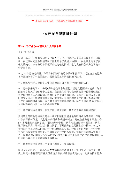 2019-it开发自我改进计划-实用word文档 (23页)