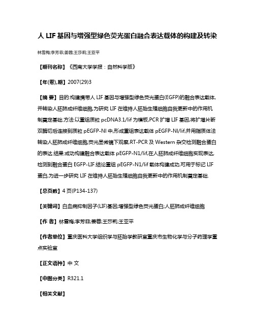 人LIF基因与增强型绿色荧光蛋白融合表达载体的构建及转染