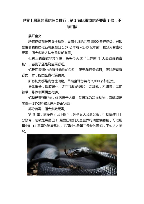 世界上最毒的毒蛇综合排行，第1名比眼镜蛇还要毒8倍，不敢相信