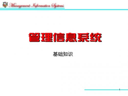 MIS管理信息系统基础知识