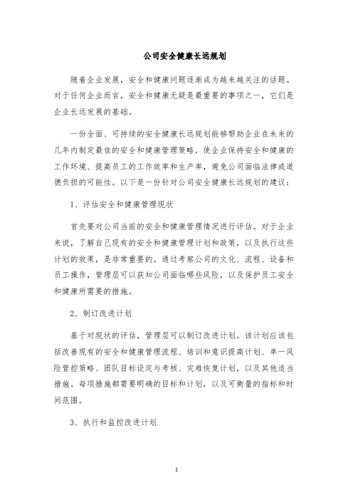 公司安全健康长远规划