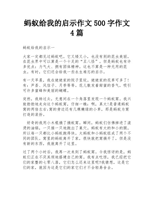 蚂蚁给我的启示作文500字作文4篇