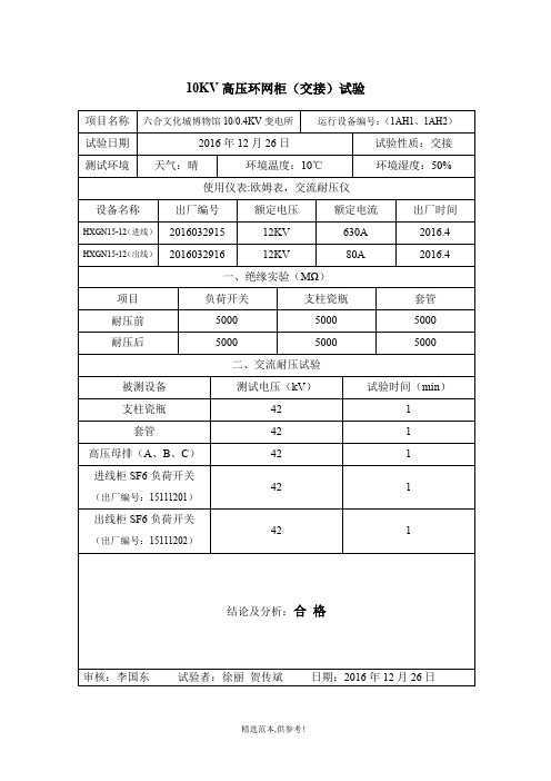 10KV高压环网柜(交接)试验