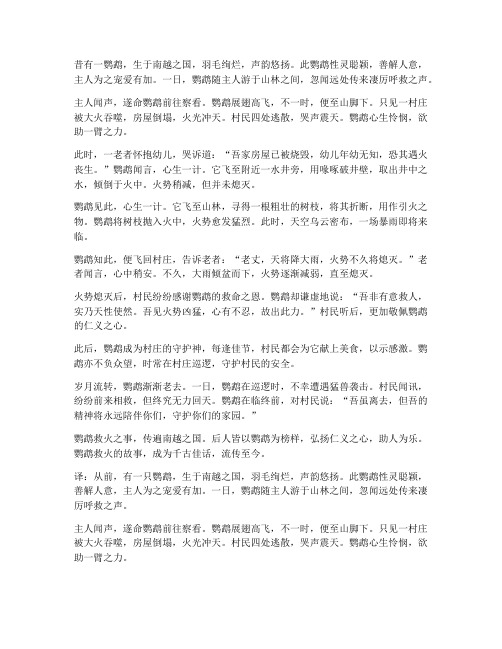 鹦鹉救灭文言文翻译