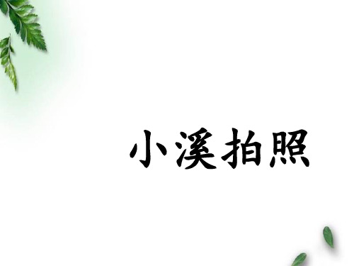 最新湘教版小学语文二年级下册《小溪拍照》第二课时公开课课件