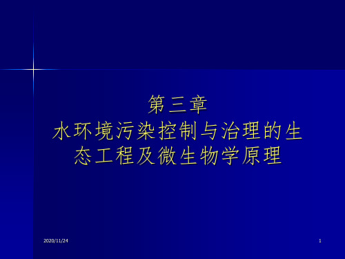 水环境污染控制与治理的PPT课件