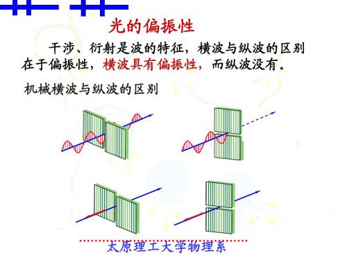 大学物理§14-10 自然光和偏振光