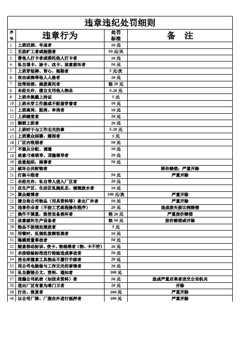 违章违纪处罚细则