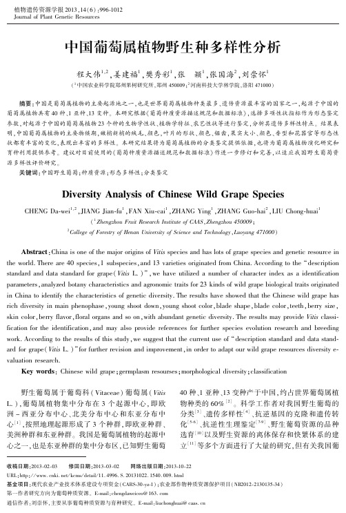 中国葡萄属植物野生种多样性分析