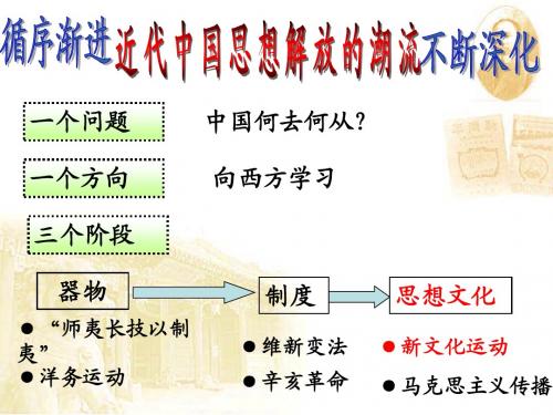 新文化运动(一轮复习)