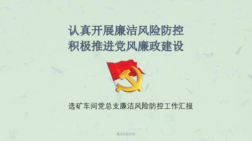 廉洁风险防控课件