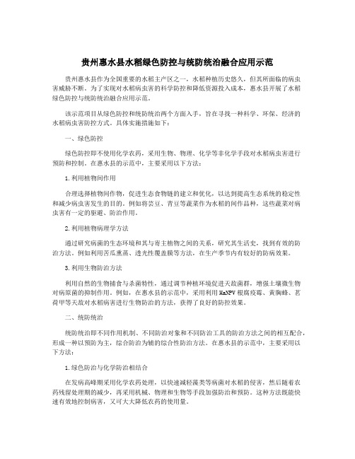 贵州惠水县水稻绿色防控与统防统治融合应用示范