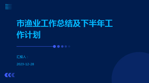 市渔业工作总结及下半年工作计划