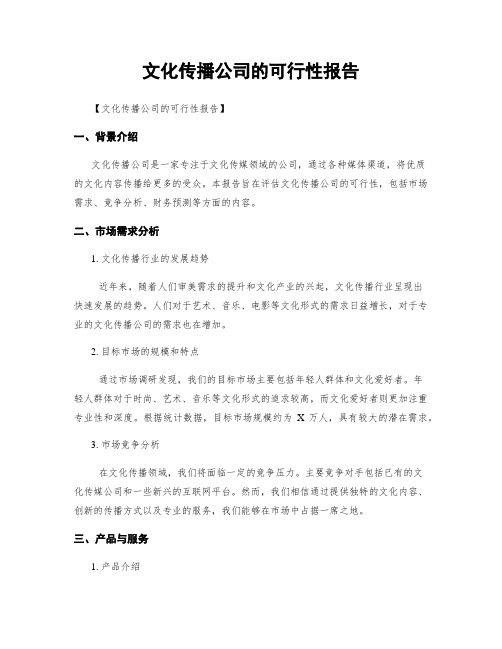 文化传播公司的可行性报告