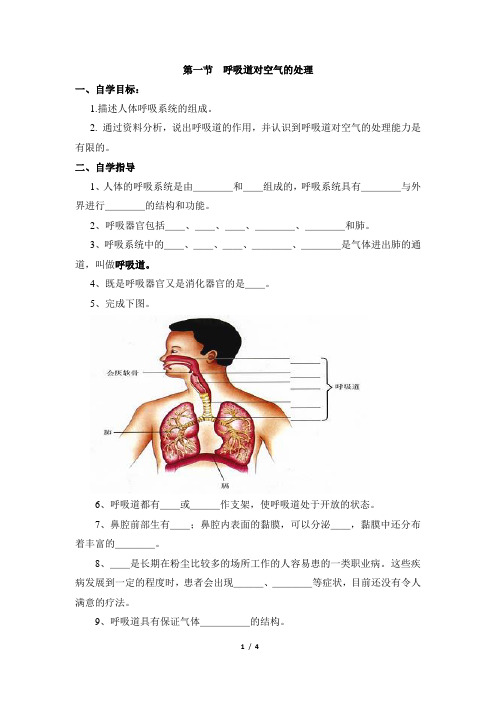 鲁科版生物七年级上册 4.3.1《呼吸道对空气的处理》导学案