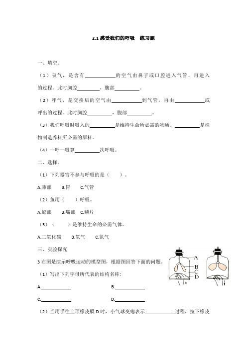 教科版四年级科学上册第二章《呼吸和消化》练习题