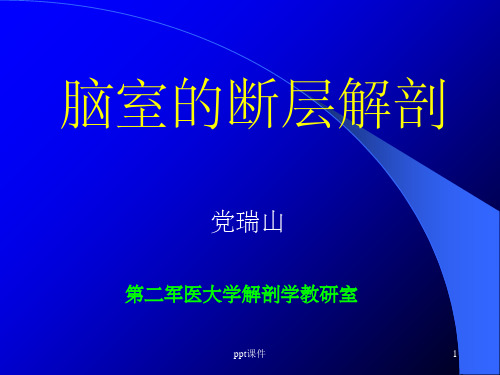 《脑室脑池》PPT课件