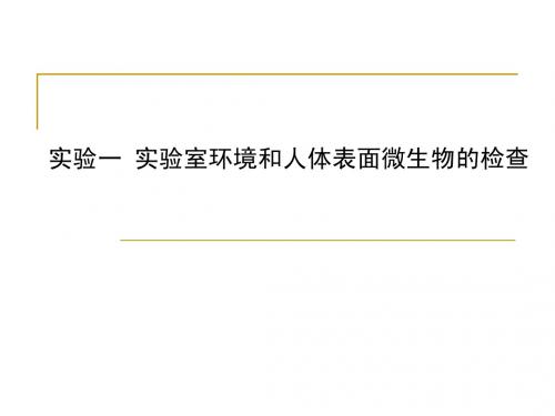 实验室环境和人体表面微生物的检查