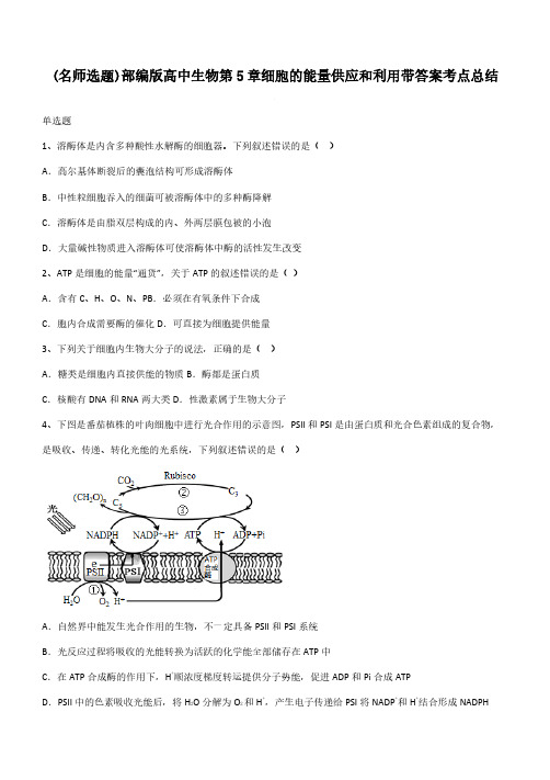 部编版高中生物第5章细胞的能量供应和利用带答案考点总结