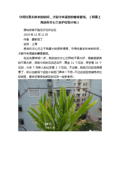 守得住春去秋来的时间，才能守来满室的馨香萦绕。（阿康上海迷你文心兰养护经验小帖）