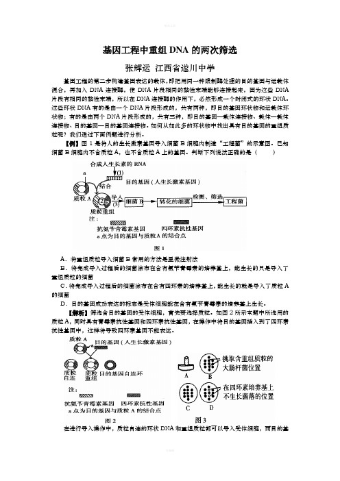 筛选含有目的基因的受体细胞的方法