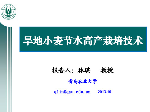旱地小麦节水高产栽培技术--林琪