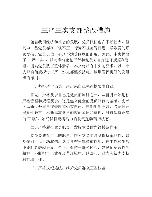 三严三实支部整改措施