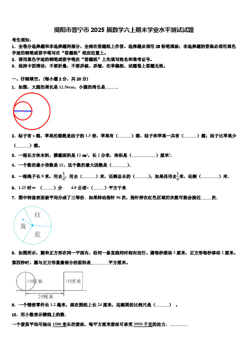 揭阳市普宁市2025届数学六上期末学业水平测试试题含解析