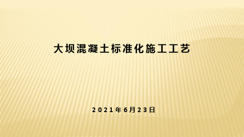 大坝混凝土标准化施工工艺