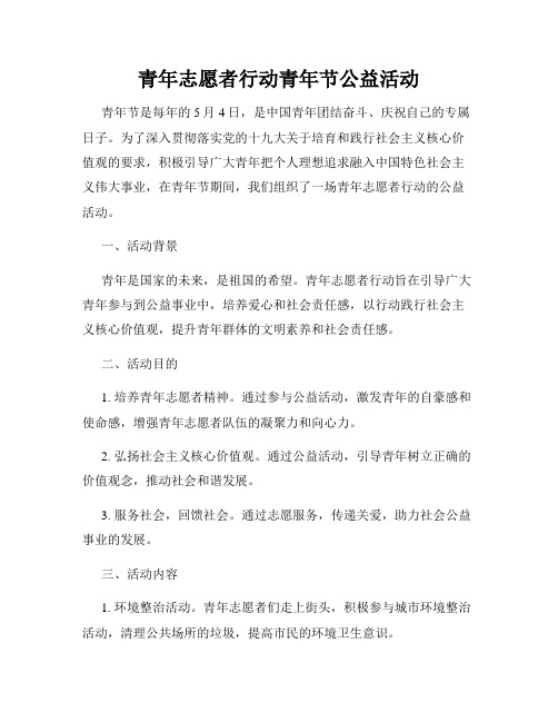 青年志愿者行动青年节公益活动