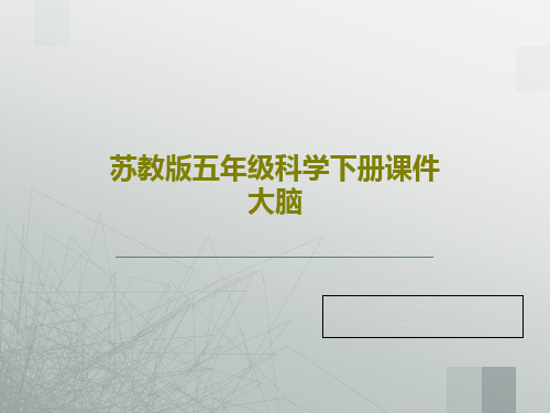 苏教版五年级科学下册课件大脑共23页