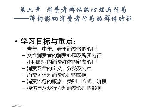 消费者行为分析与实务第六章  消费者群体的心理与行为