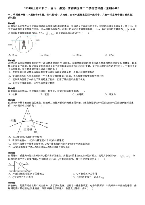 2024届上海市长宁、宝山、嘉定、青浦四区高三二模物理试题(基础必刷)