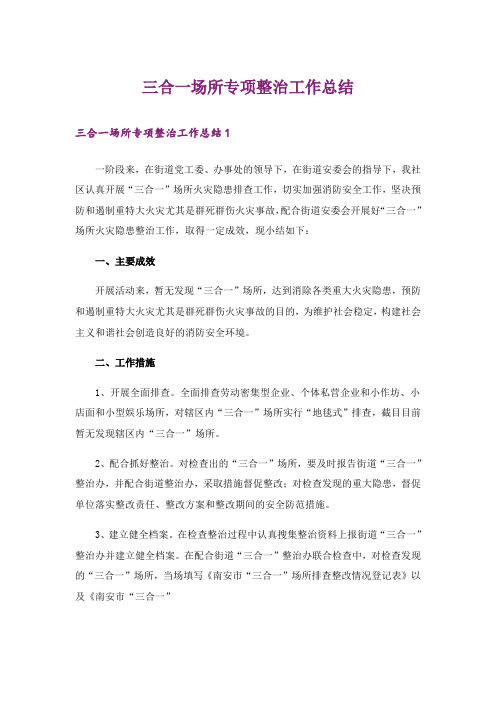 三合一场所专项整治工作总结_4